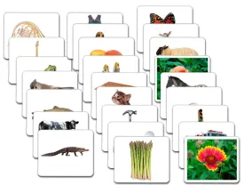 Basic Vocabulary Card Set/26