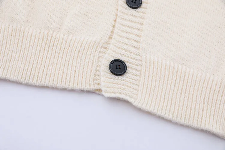 Faire Echo V-neck four button daily sweater